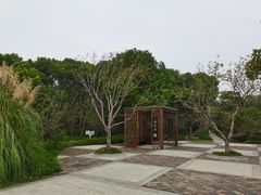 -昆山城市生态森林公园