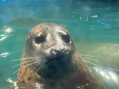 -梦幻海洋王国(吾悦广场张家港店)