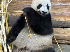 -海南热带野生动植物园