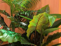 -牛排叔叔自助餐厅(太原龙湖万达店)