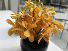 -止观小馆·辽河口渔家菜(王府井店)