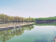 -大兴滨河森林公园