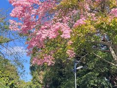 -广东金融学院(校本部)