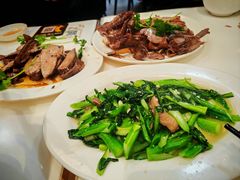 -日日香卤鹅饭店·澄海狮头鹅(澄海店)