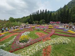 -深圳仙湖植物园