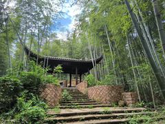 -莫干山风景区