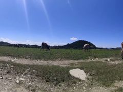 -十三陵水库