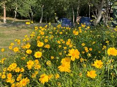 -盘龙城国家考古遗址公园