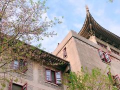 -武汉大学-樱园