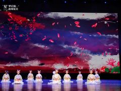 -DC少儿舞蹈培训中心(人民桥店)