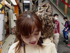 -秋叶原电器街