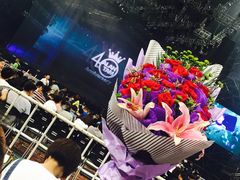 -南京奥林匹克体育中心-体育馆