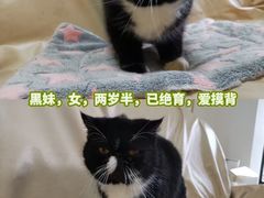 -江南西(地铁站)