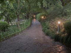 -嘉定紫藤园