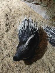 -酷嗒动物文化乐园(cutezoo西溪乐天城店)