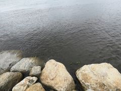 -大理洱海