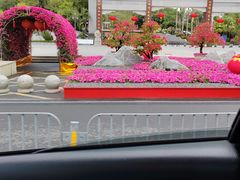 -红花山公园