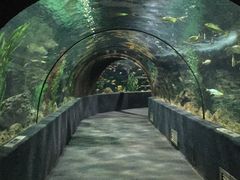 -南昌海洋公园