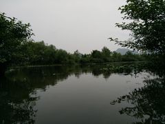 -会仙湿地