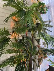 -新雨池不针清祛痘