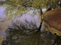 -月湖风景区