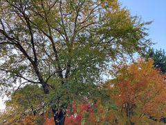 景点-长春市南湖公园