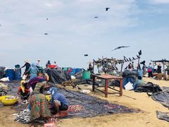 -尼甘布海鲜市场