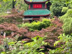 -岳麓山风景名胜区