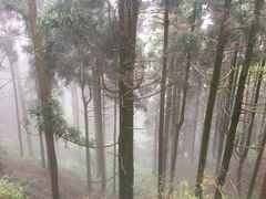 -南岳衡山风景名胜区