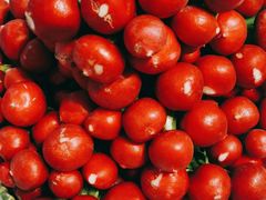 -鸽子窝(万丰路店)