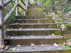 -太平万花山景区