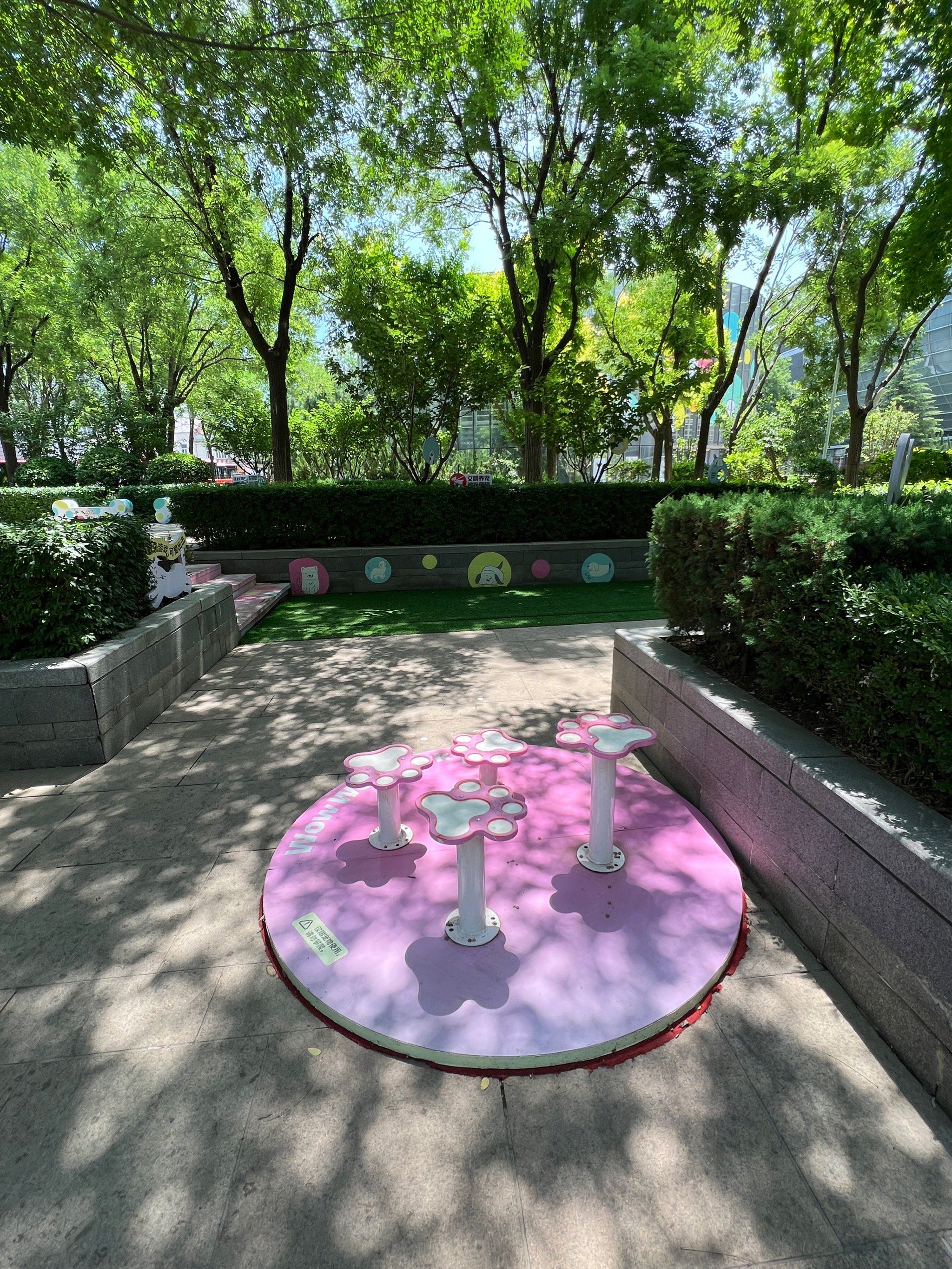 宠物游乐园-恒隆广场