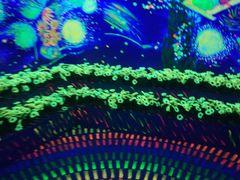 -天津梵高星空艺术馆(天河城旗舰店)