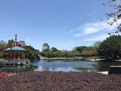 -金砂公园