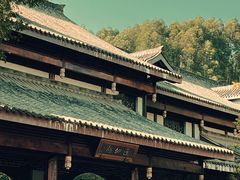 -乐山乌木文化博览苑