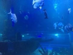 -石林冰雪海洋世界