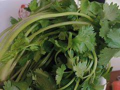 -小媳妇重庆火锅(海莲路店)
