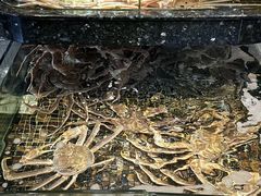 -海鲜e族(马王堆店)