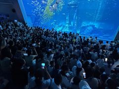 -南昌融创海世界