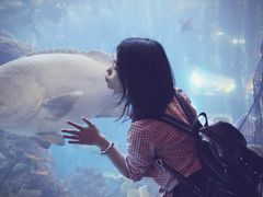 -成都浩海立方海洋公园