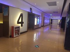 -金逸影城(武汉人信汇IMAX店)