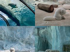 -珠海长隆海洋王国
