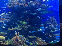 -多彩贵州城极地海洋世界