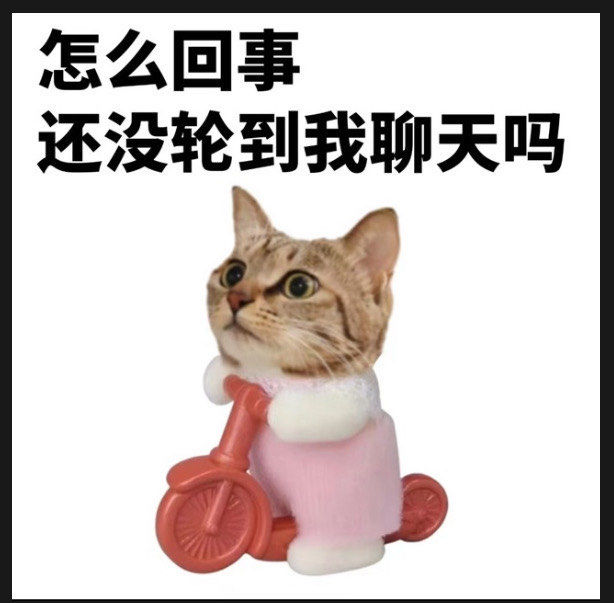 和摩羯座聊天必备表情包