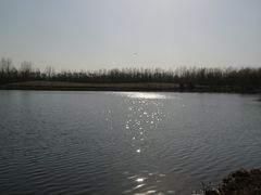 -东郊湿地公园