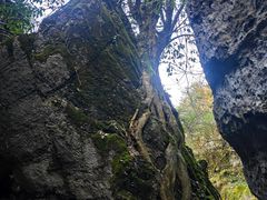 -山王坪喀斯特国家生态公园