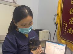-乐宠动物医院