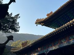 -普陀山风景名胜区-法雨禅寺