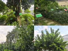 -广东中医药博物馆