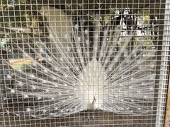 -广东花都香草世界旅游度假区